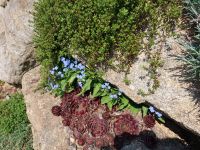 03_Fruehling_im_Ausserfeld_Norbert_Kuehnel