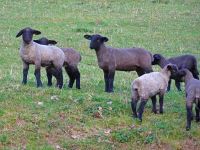10_Deckers_Lamperl-Kita_am_Ostersonntag_Markus_Tosch