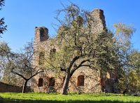 12_Bluehendes_Leben_um_die_Ruinen_von_Haibach_Laura_Tosch