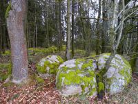 13_Felsengruppe_im_Wald_bei_Hoermannsberg_Elisabeth_Rhn