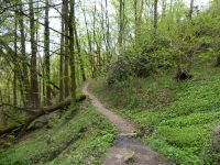 21_Am_Horizontalsteig_durchs_Perlbachtal_Thomas_Meier