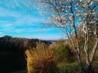 24_Blick_vom_Weiherfeld_in_den_Gaeuboden_bei_Morgensonne_Guenter_Spiessl