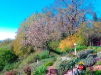 28_Explodierender_Fruehling_im_Weiherfeld_Guenter_Spiessl