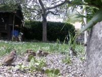 48_e_Fast_hier_zuhause_Norbert_Kuehnel