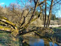 006_Natur_Natur_sein_lassen_am_Perlbach_ft