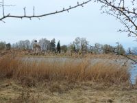 011_Altwasser_der_Donau_mit_dem_Kirchlein_von_Oeberau_ft