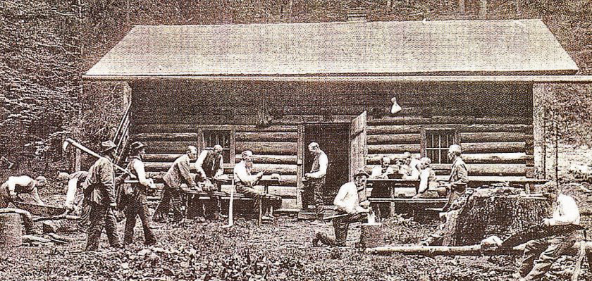 bhmerwaldwaldwirtschaft2 w