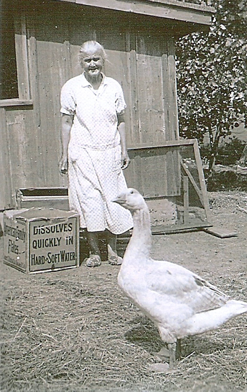Auswandererbriefe1 019 BOG ZTG 00 060317