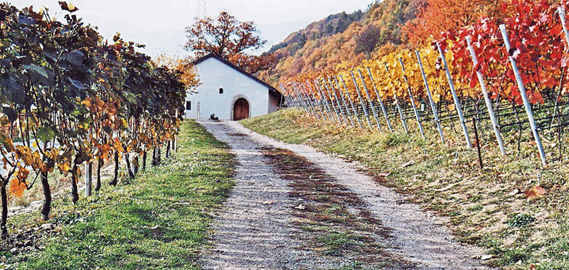 weinzierln 012 dgf ztg 00 021015 w