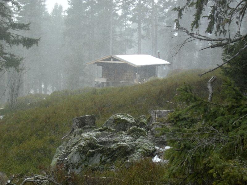 fruehling06 karfreitagsschnee am oberen arberschachten