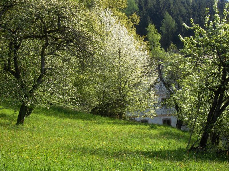 fruehling17 heubeckengrub