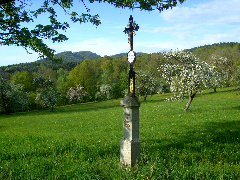 fruehling18 dietersdorf