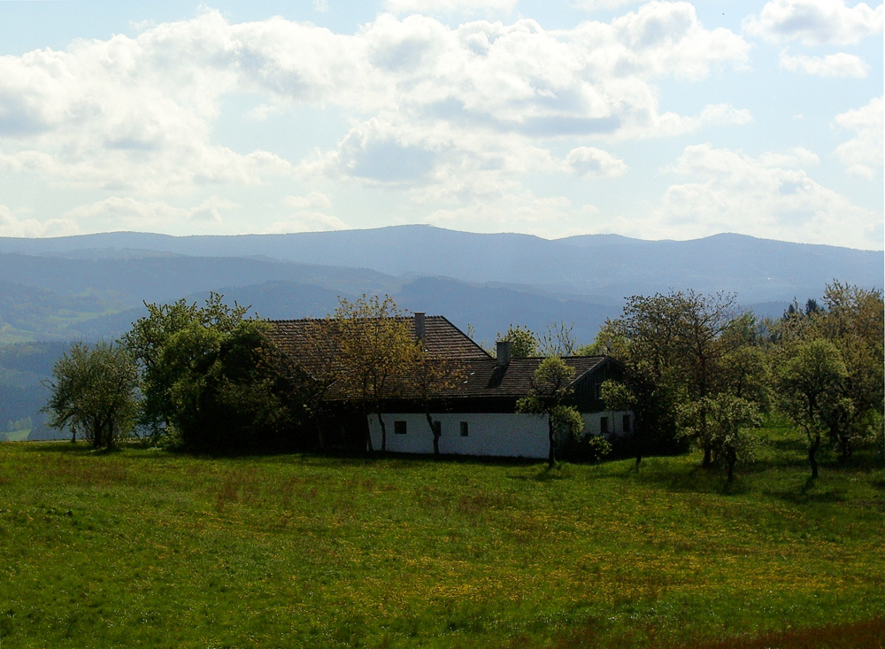 fruehling23 tremmel sacherl in riederszell mit blick zum hirschenstein