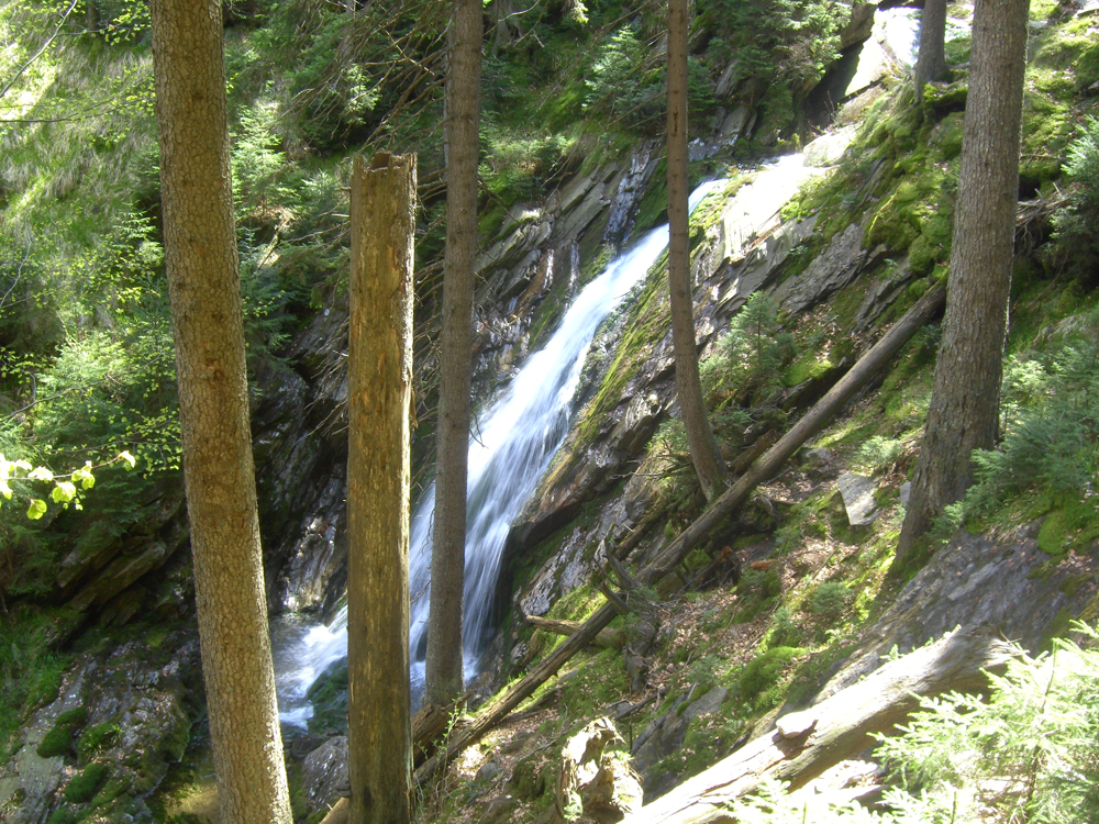 fruehling28 im klammerloch