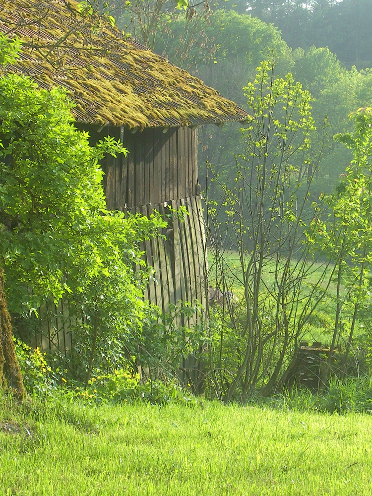 fruehling36 stadl in hagnzell