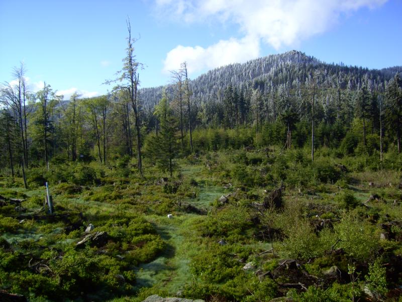 fruehling40 grenzsteig