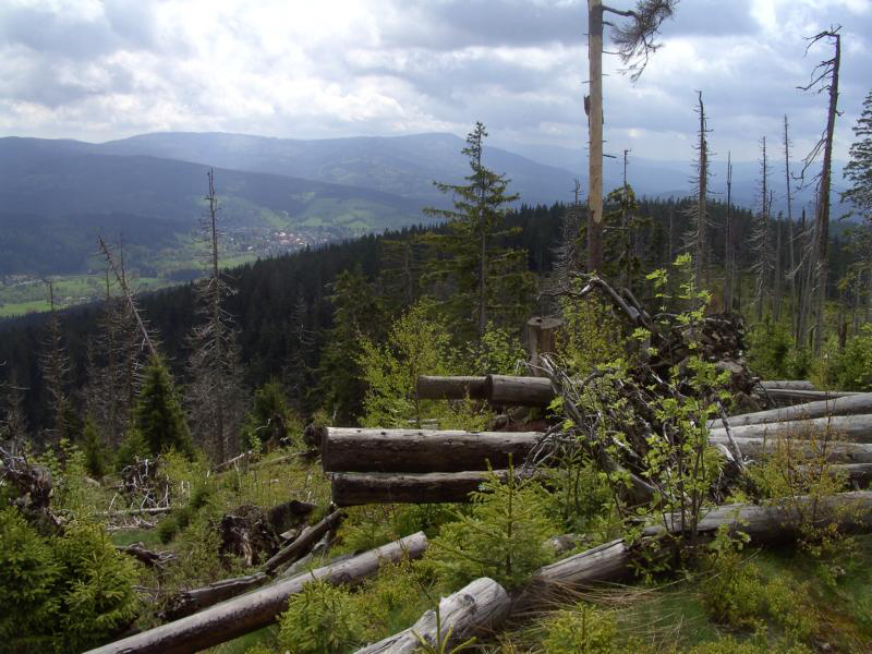 fruehling53 blick zum falkenstein und bhmisch eisenstein