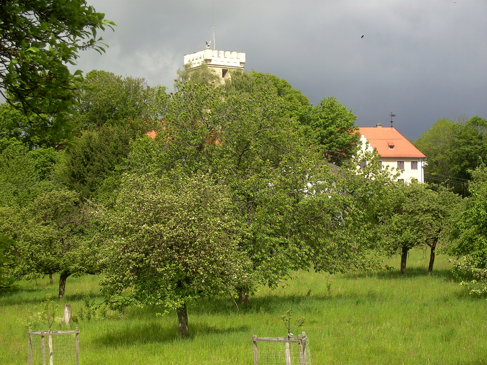 fruehling57 burg falkenfels