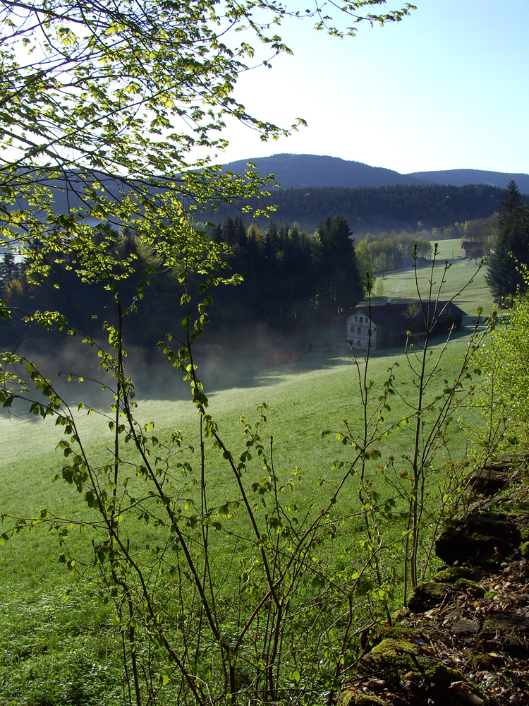 fruehling63 nach riedelswald im hintergrund die kaesplatte