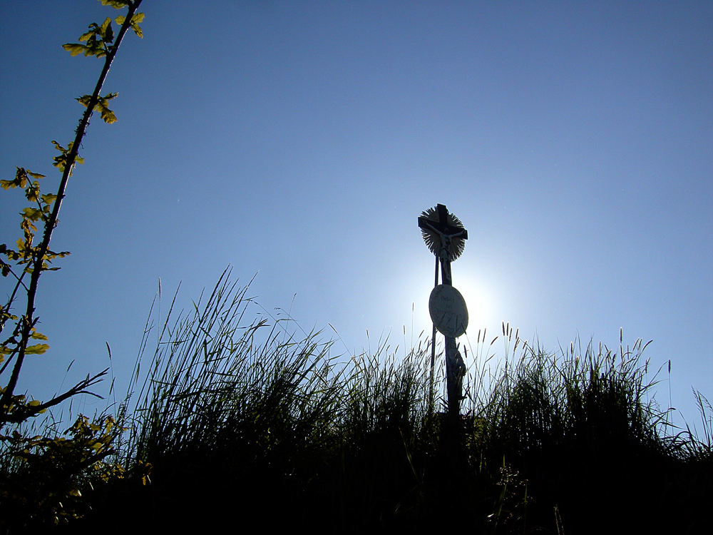 fruehling67 wegkreuz