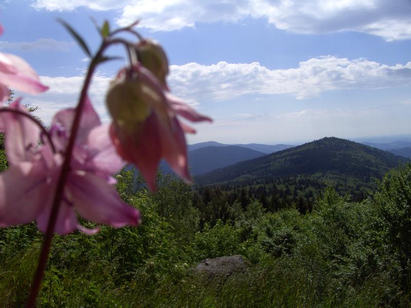 fruehling70 blick vom hirschenstein ostwaerts