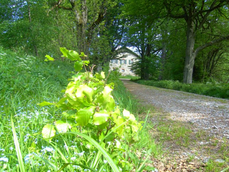 fruehling74 oedwies