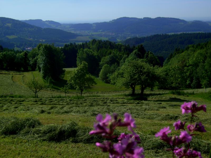 fruehling75 unternebling