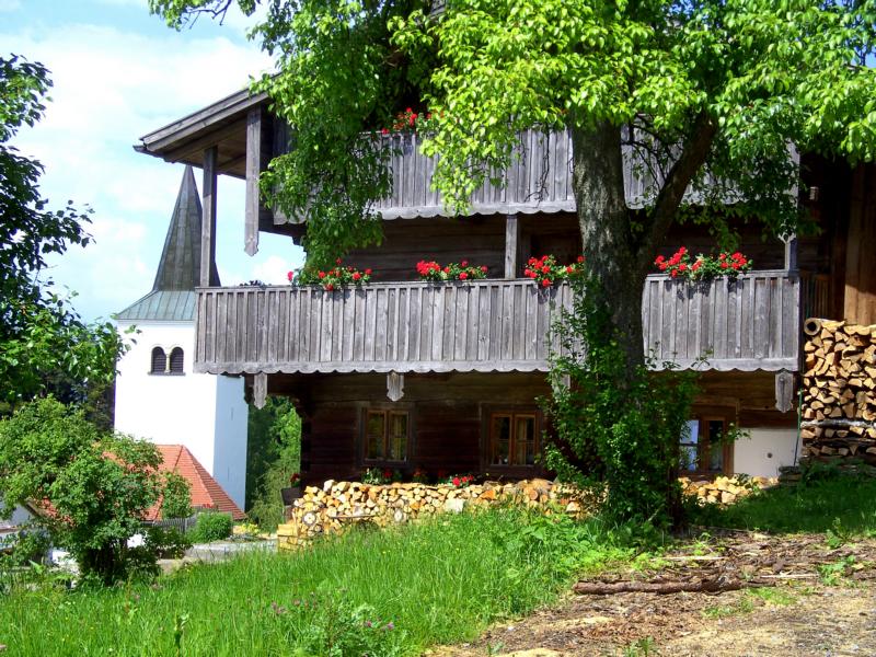fruehling79 gallner
