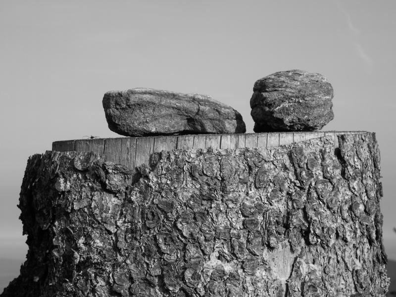 fruehling83 stille zweisamkeit