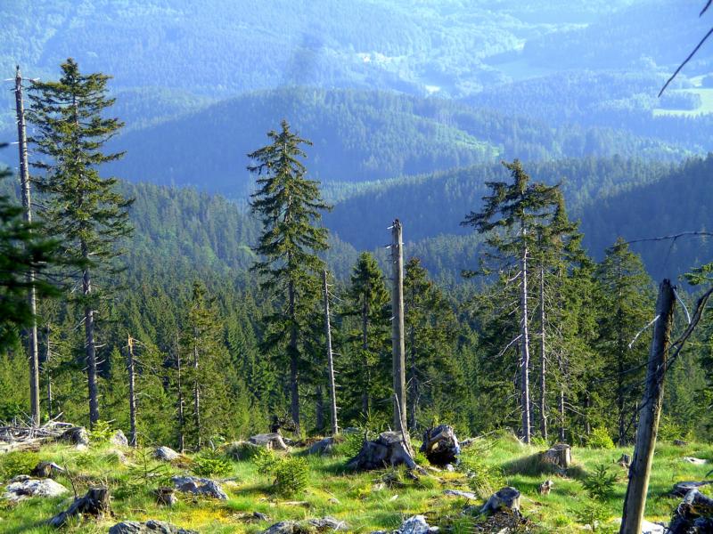 fruehling84 blick ins klammerloch