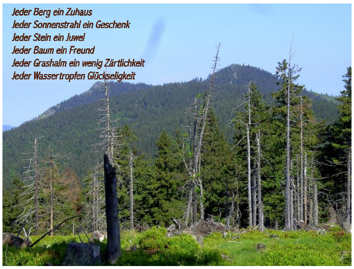 fruehling90 osser