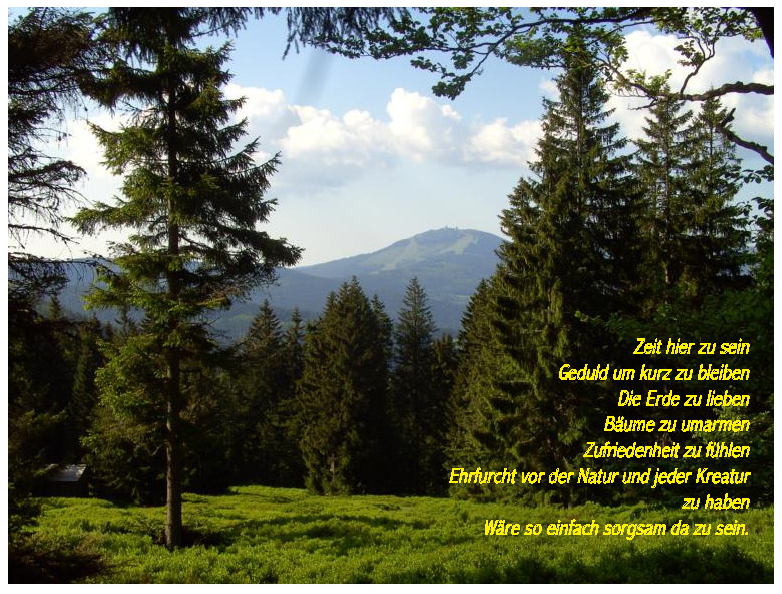 fruehling91 sesselplatz