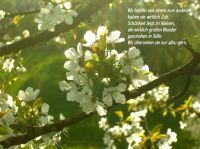 fruehling01