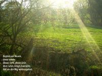 fruehling02