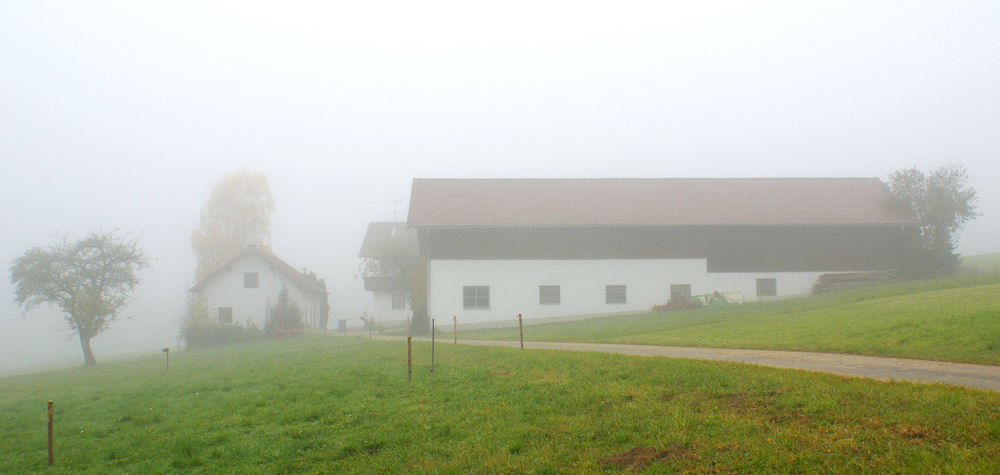 26 herbstlicher nebel in mitterfels - hh
