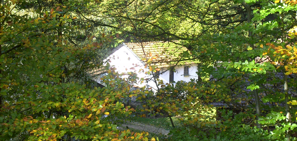 34 versteckt im wald - die kragnmuehl - bm