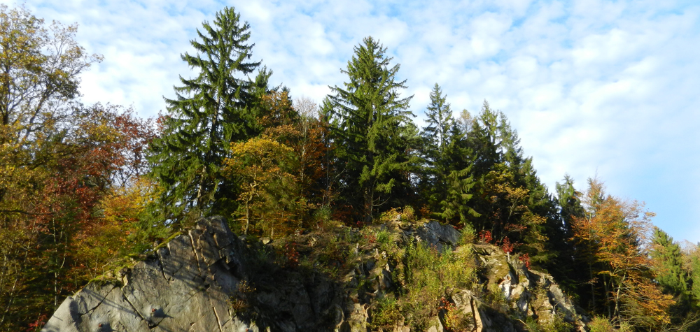 48 felsen beim frueheren waldbad mit herbstlichen tupfern - ft