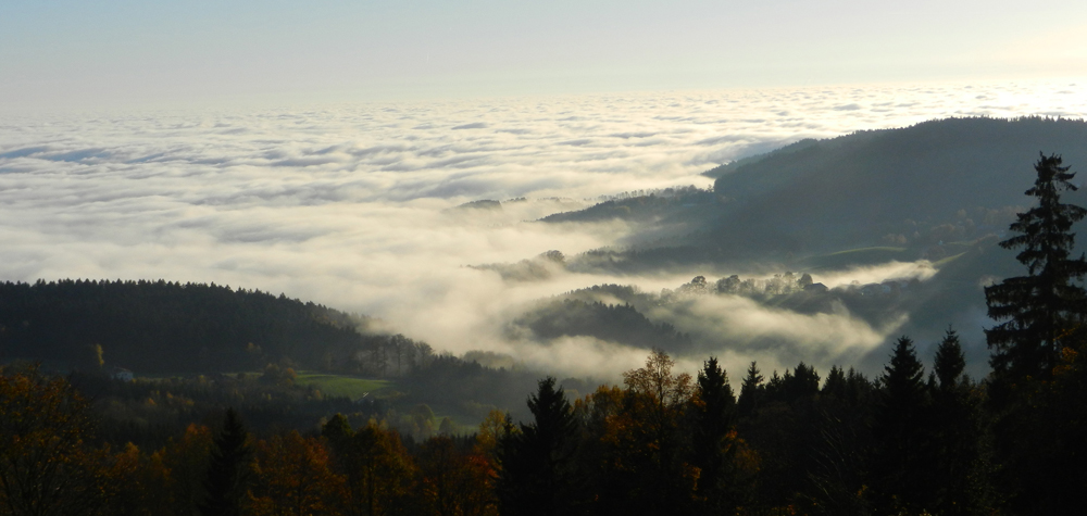 55 nebel umwabert die haeuser von eschpernzell