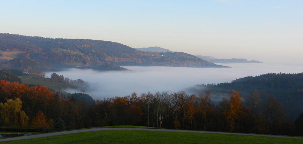 82 das neukirchener becken liegt unter tiefem nebel - wie  die wogen eines meeres umflutet der nebel die haenge bei edersdorf - ft