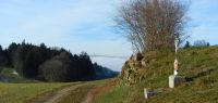 09-Buchet-bei-Obernebling---fast-wie-im-Fruehling