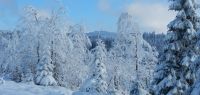 12-Blick-ueber-die-Grenze-zum-Mittagsberg-Polednik
