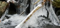 18-Eisskulpturen---von-Frost-und-Wasser-geformt