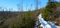 26-Trockenmauerweg-nach-Boehmen-am-Siebenstein