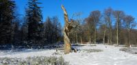 30-Charakterahorn-am-Albrechtschachte