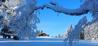 51-Trotz-der-Naehe-zum-Bretterschachten-totale-Stille-am-Hochzellschachten