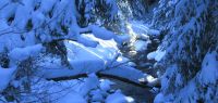 55-Sumava---tiefverschneit-und-eiskalt