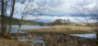 85-Zwischen-den-Jahreszeiten-am-Blaibacher-See