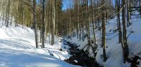 88-Am-Rindlbach---700-Meter-hoeher---herrscht-noch-tiefer-Winter