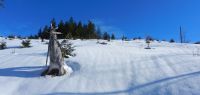 89-Da-freut-sich-der-Tourengeher---der-Schnee-traegt-einen-auf-den-Rindlbachhaengen