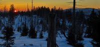 93-mit-dem-Sonnenaufgang-im-Rachelgebiet-beschliessen-wir-unsere-Fotostreck-bm